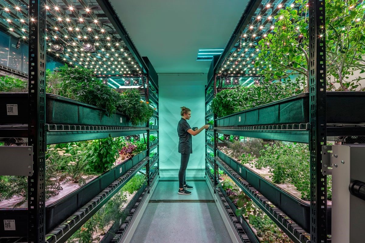 Concerning Vertical Farming