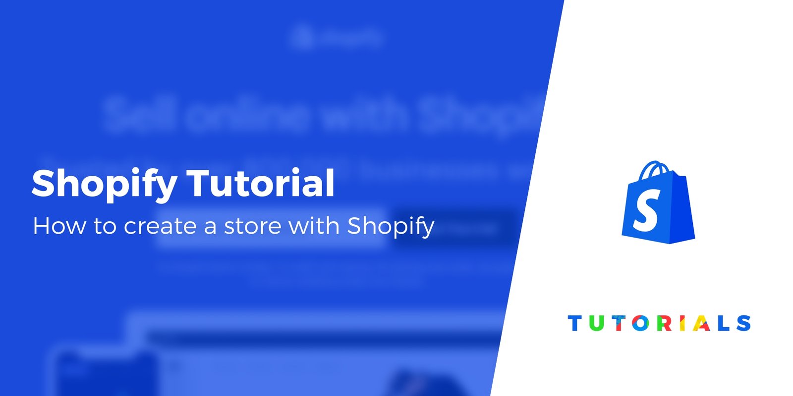 Why You Should Start An Ecommerce Business Right Now?: A Shopify Guide For The Newbie