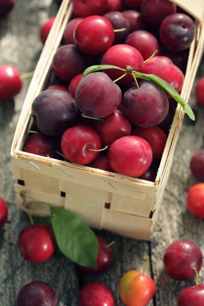 All about Cherry Plums: Health Benefits of Cherry Plums