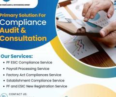 Audit Compliance Services for Your Business