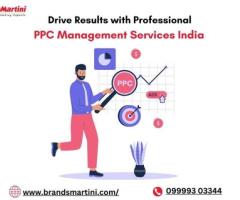 Professional PPC Management Services India