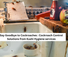 Cockroach Pest Control Services - Kushi Services